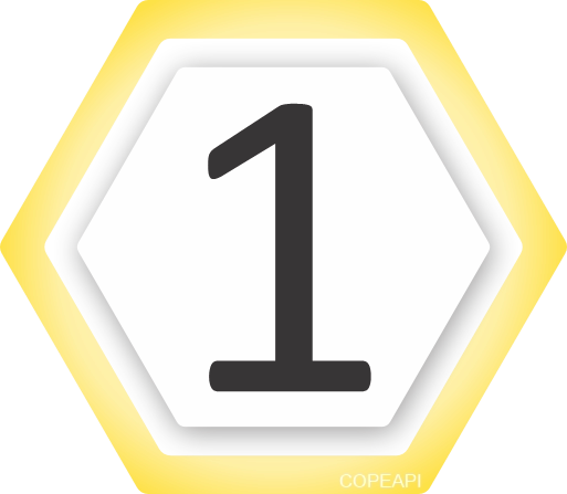 NUMERO 1 COPEAPI