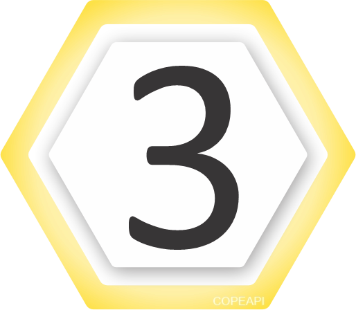 numero 3 copeapi
