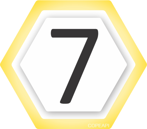 numero 7 copeapi